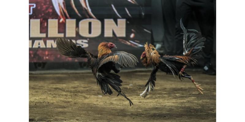 Đa dạng với nhiều hình thức cá cược tại trang web Az368