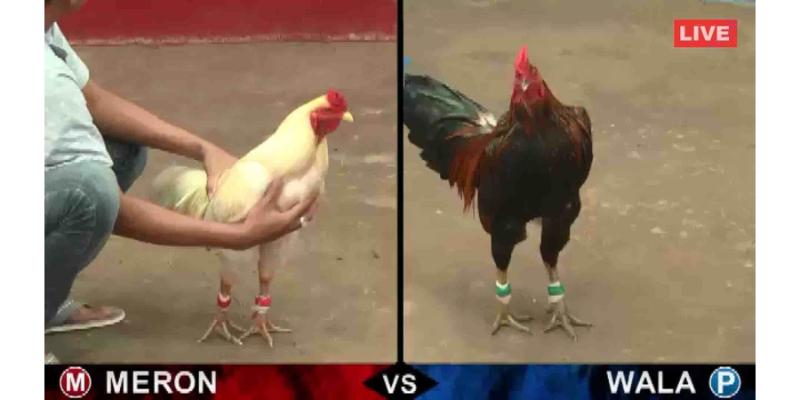 Hướng dẫn cách tạo tài khoản Az368 nhanh nhất cho người mới