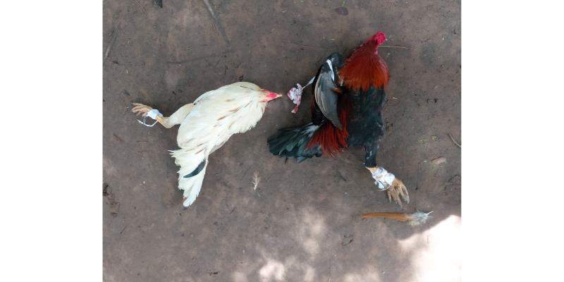 Giao diện Az368 được thiết kế đơn giản dễ dàng sử dụng đến cho người dùng