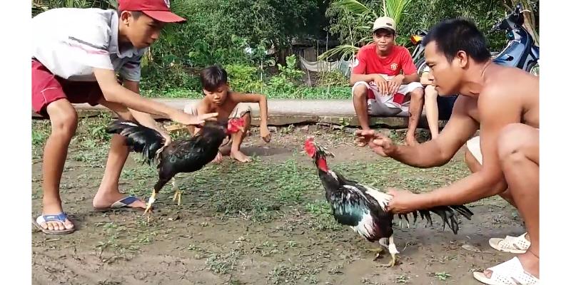 Đảm bảo thông tin cá nhân an toàn và bảo mật cao tại trang web Az368