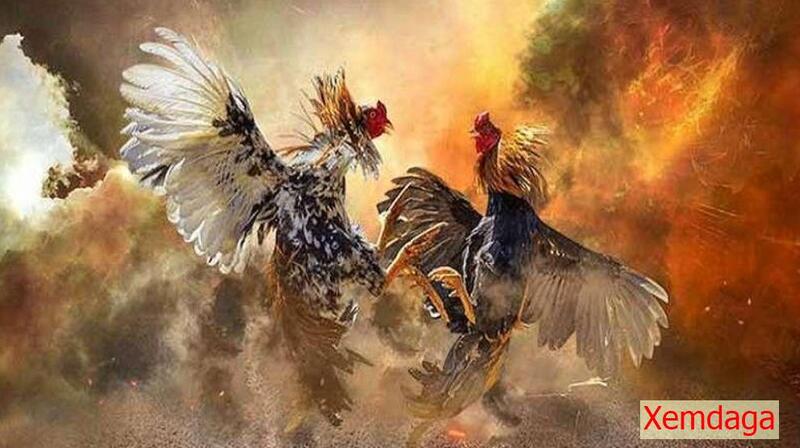 Đôi nét về chúng tôi - Az368